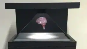 Hologram Display for Conferences and Exhibitions