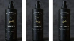 Creating AR Pet Filters for Springfield Solutions!