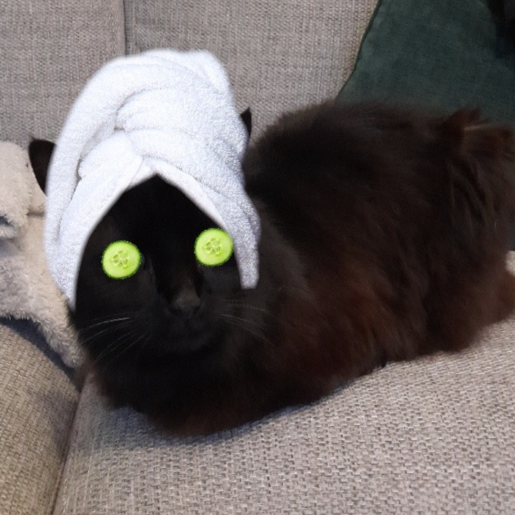AR Pet Filter