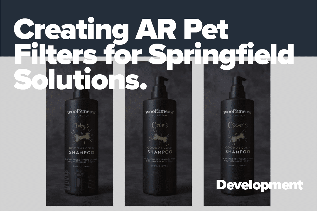 Creating AR Pet Filters for Springfield Solutions!