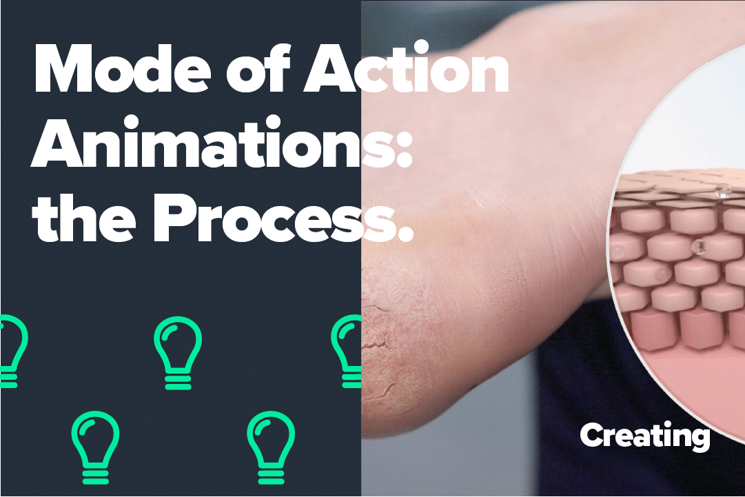 Mode of Action Animation: The Process
