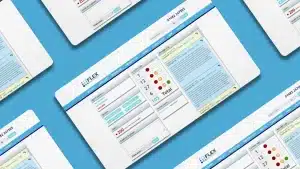 Developing a Tailored Project Management Tool for Flex Group!