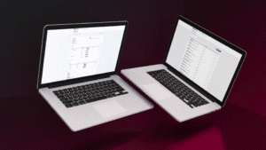 Bespoke Project Management Tool for Viking Pest Control!